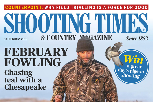 Browning 725 20 Bore Review